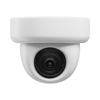 IP Cameras