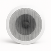 Ceiling Speaker