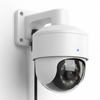 IP Cameras
